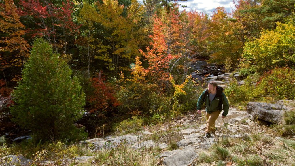 10 Best Hiking Trips for Singles in USA