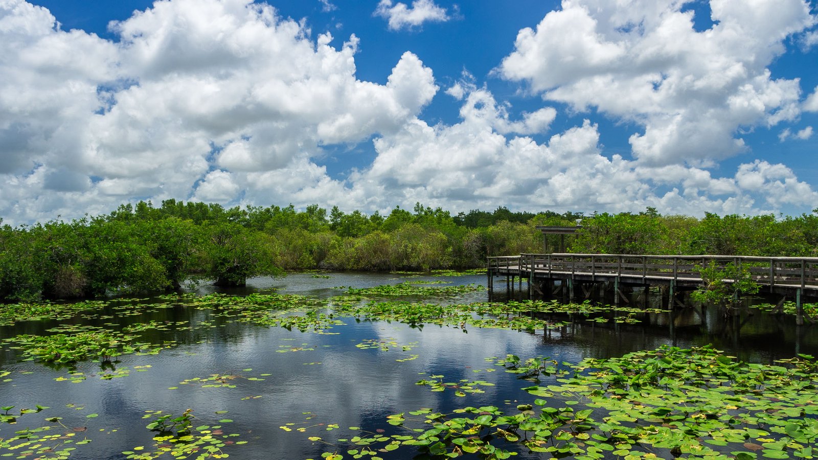 Everglades National Park