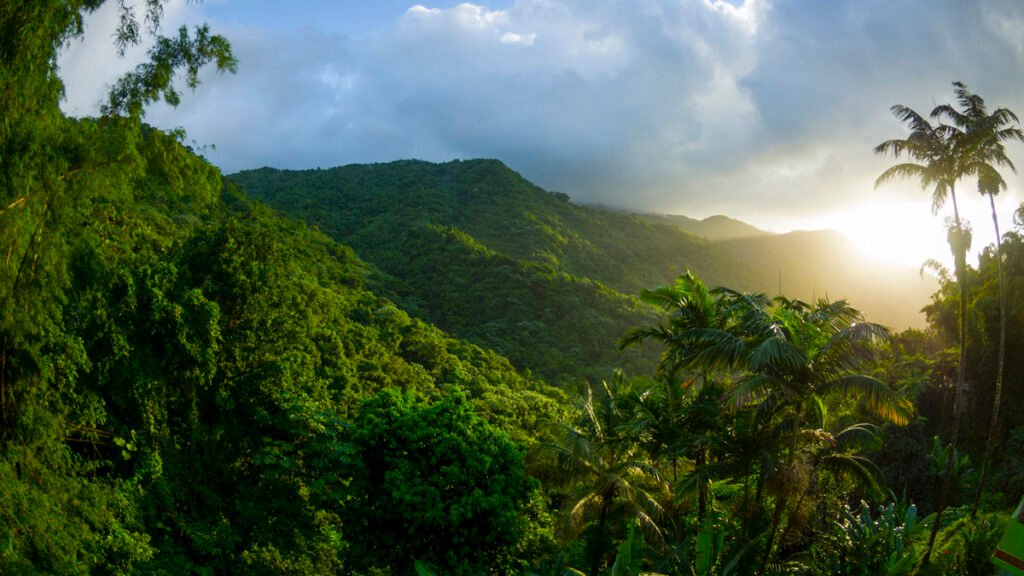 El Yunque National Forest