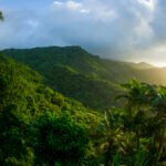 El Yunque National Forest