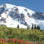 Mount Rainier National Park