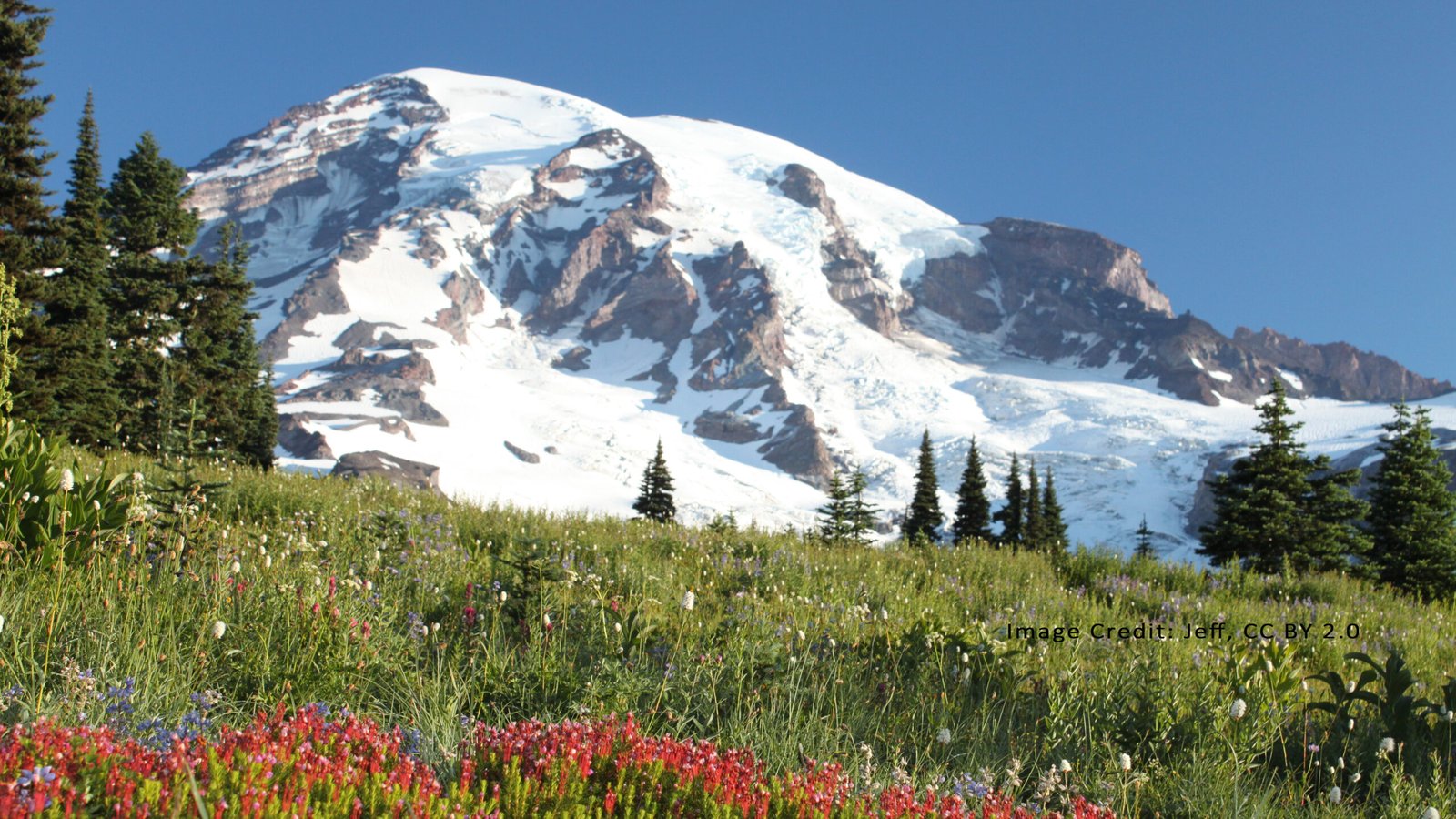 Mount Rainier National Park